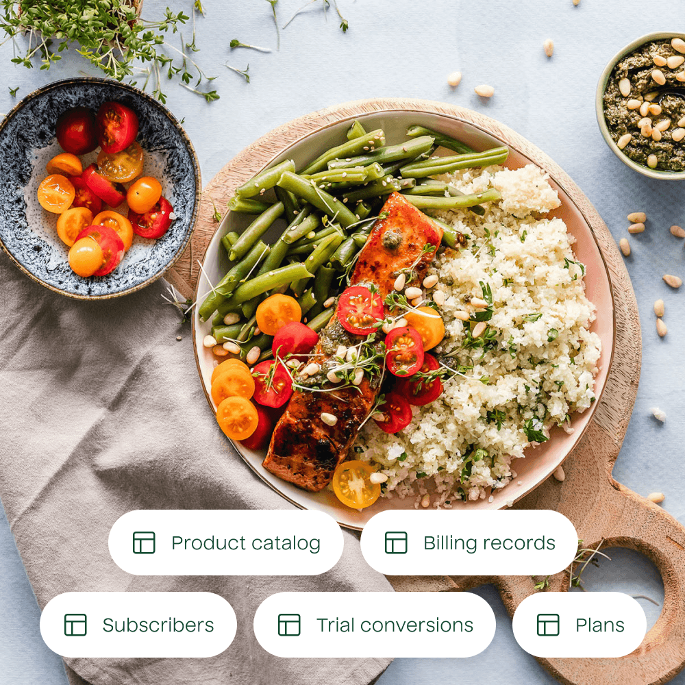 A photograph of a plated dinner with a list of example data tables overlayed. The data tables included are for product catalog, billing records, subscribers, trial conversion, and plans.
