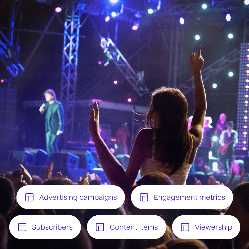 A photograph of people at a live music concert with a list of example data tables overlayed. The data tables included are for advertising campaigns, engagement metrics, subscribers, content items, and viewership.