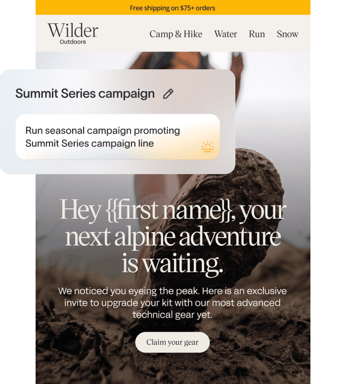 Generated lifecycle campaign concepts for: Run seasonal campaign promoting Summit Series campaign line