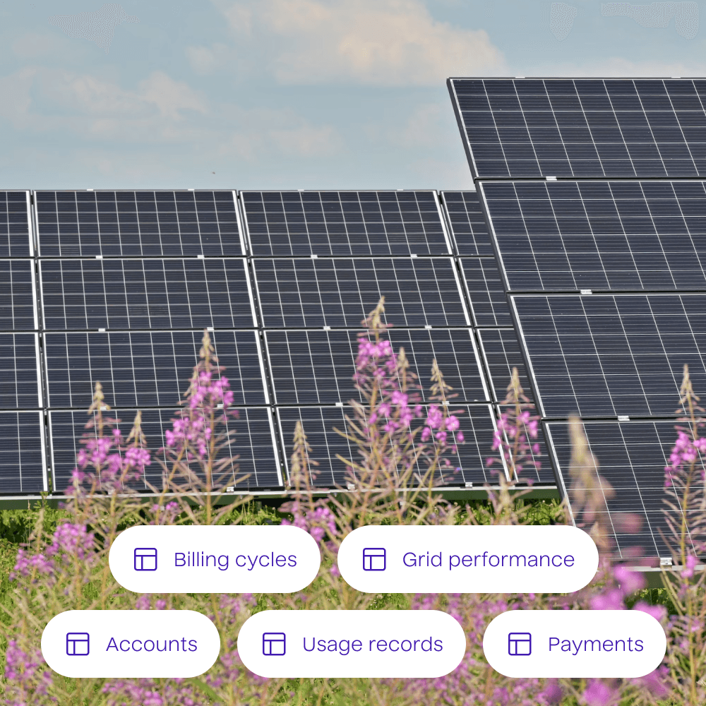A photograph of solar panels with a list of example data tables overlayed. The data tables included are for billing cycles, grid performance, accounts, usage records, and payments.