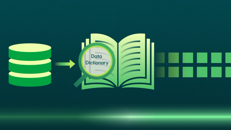 A data dictionary for the data warehouse.