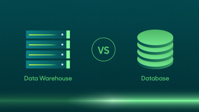 The differences between a data warehouse and database.