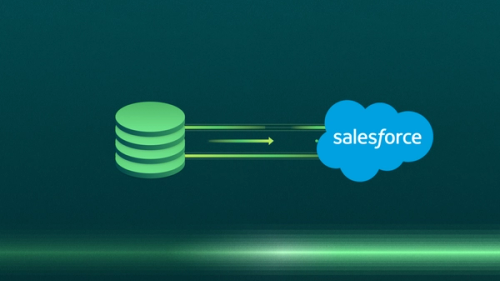 The Definitive Guide to Pushing Data from Your EDW to Salesforce CRM.