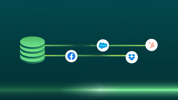 Learn everything there is to know about Reverse ETL and how it fits into the modern data stack