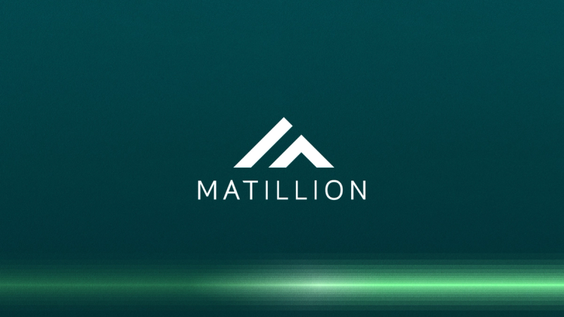 Matillion: The Definitive Guide.