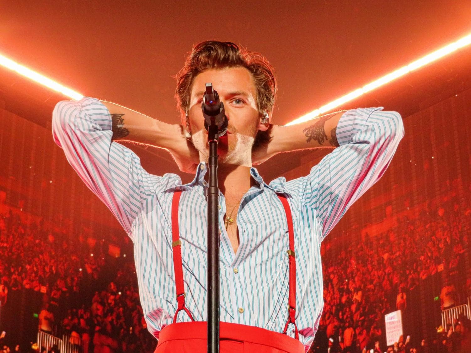 It's all about Harry!