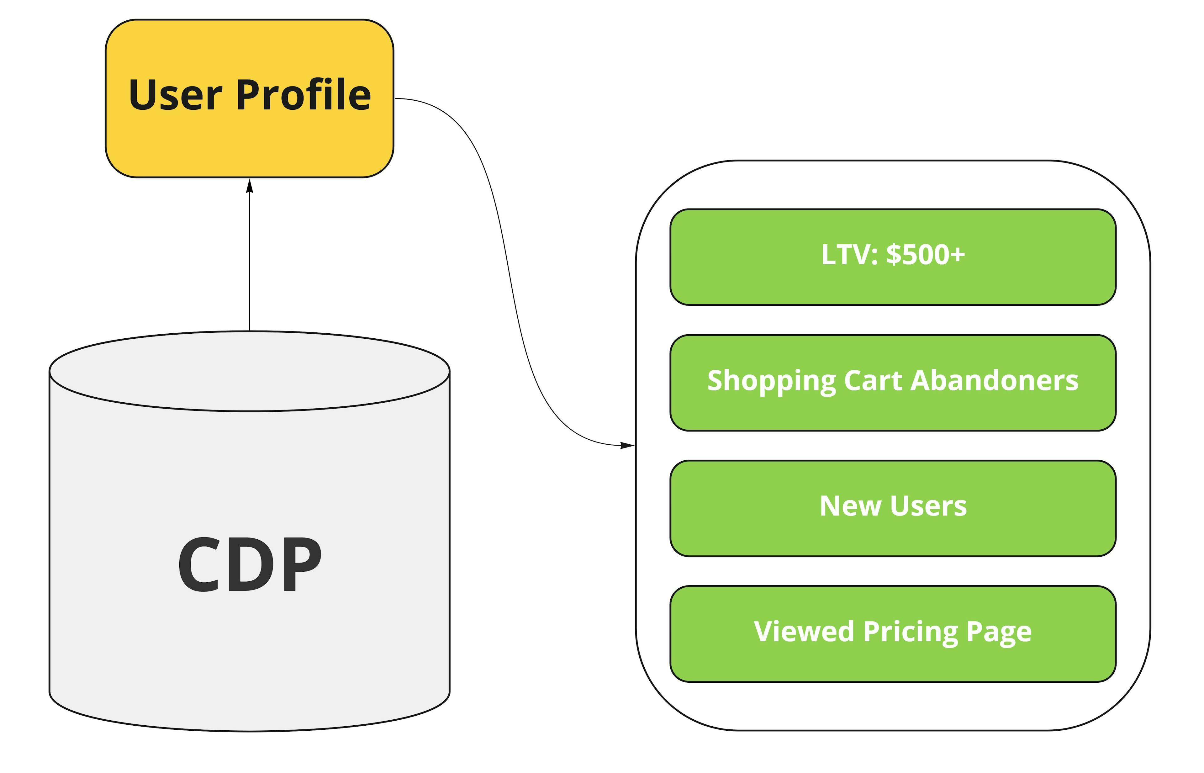 CDP audience management diagram