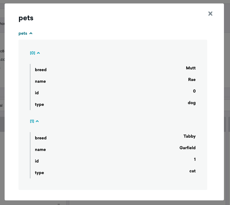 Pet data appearing in the Braze UI