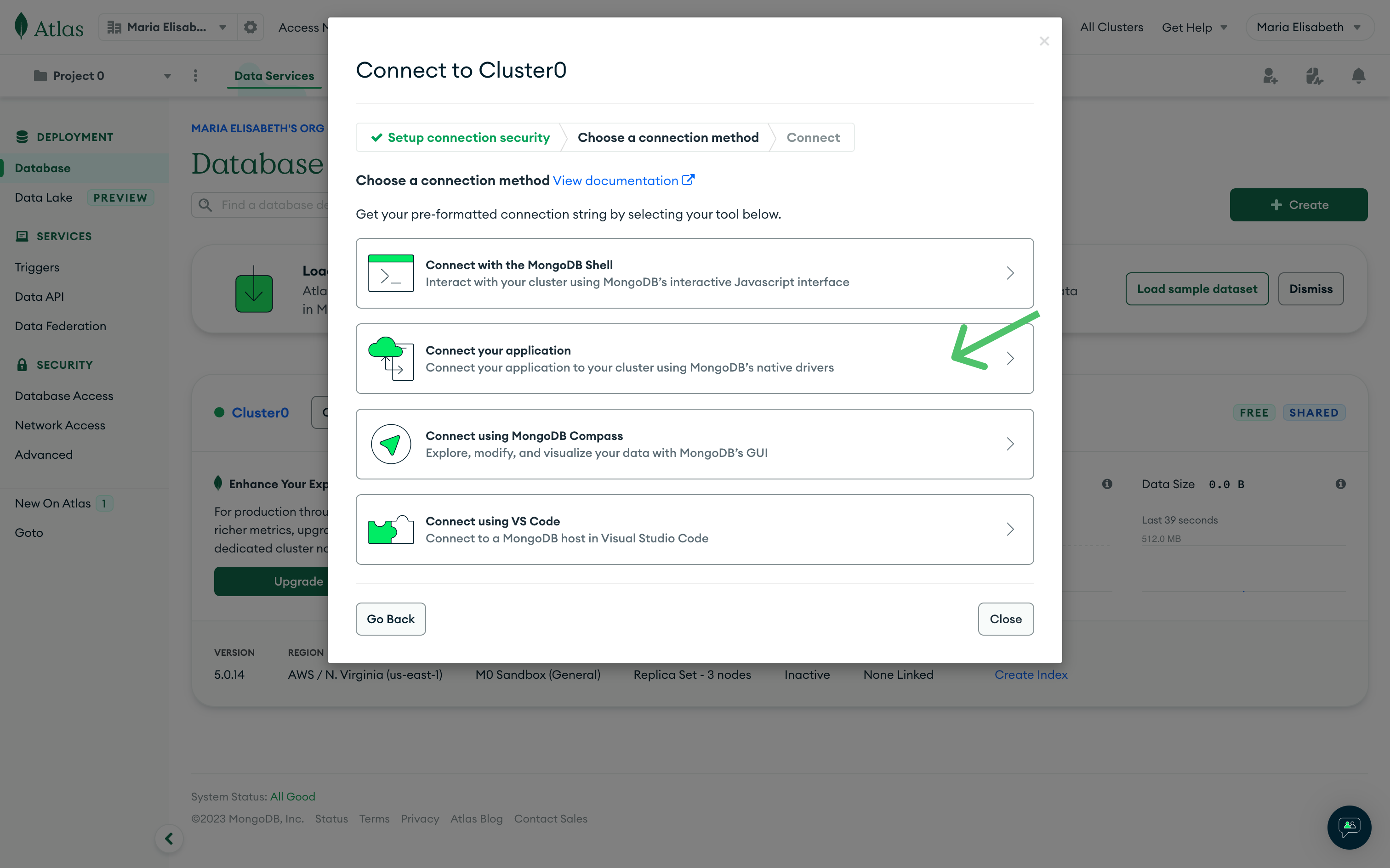 Connection options in MongoDB UI