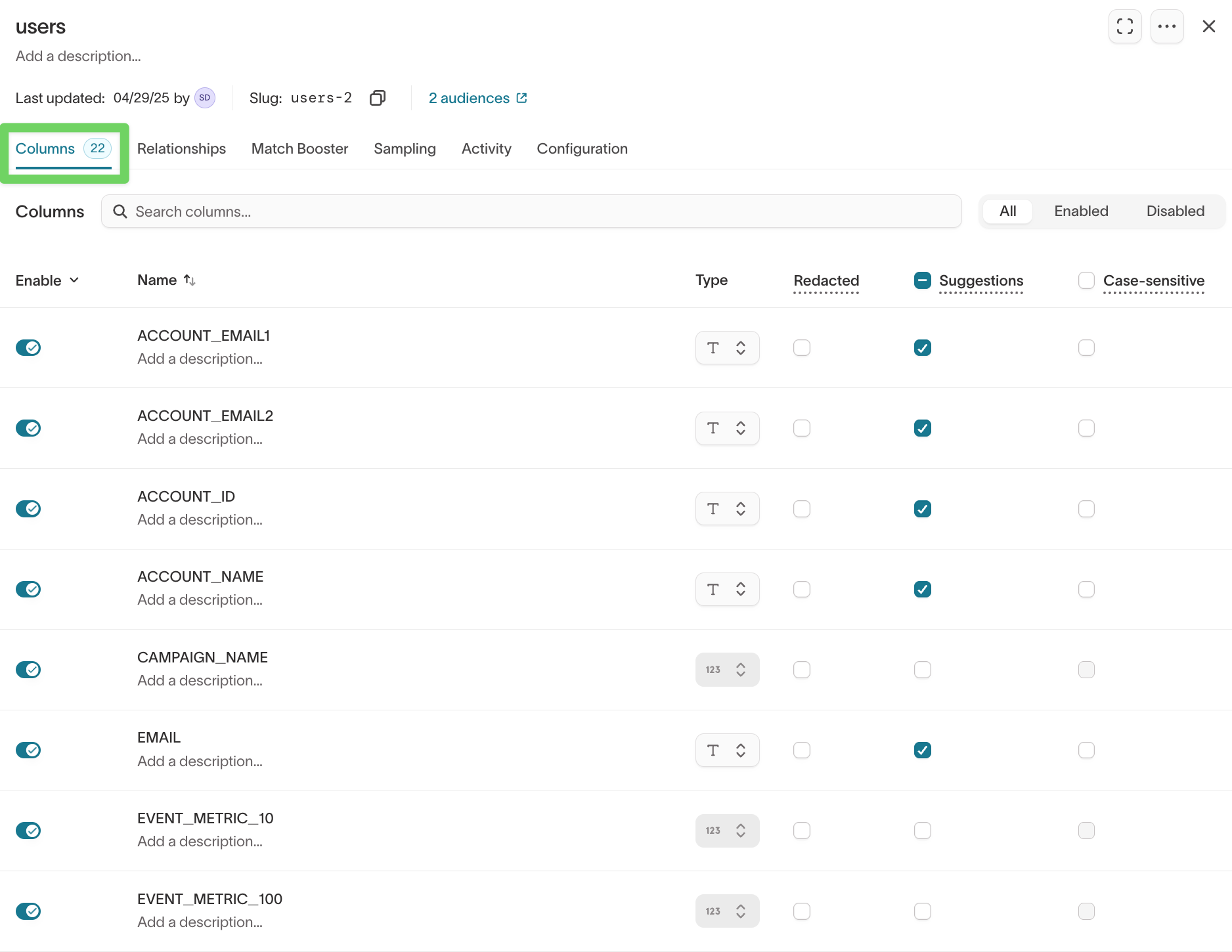 Columns tab in model configuration